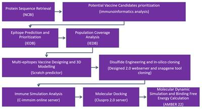 A novel vaccine construct against Zika virus fever: insights from epitope-based vaccine discovery through molecular modeling and immunoinformatics approaches